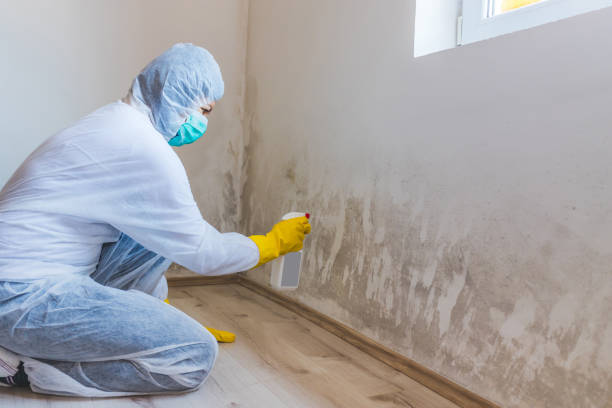 Hvac And Air Duct Mold Remediation inspection of HVAC system in Seanor